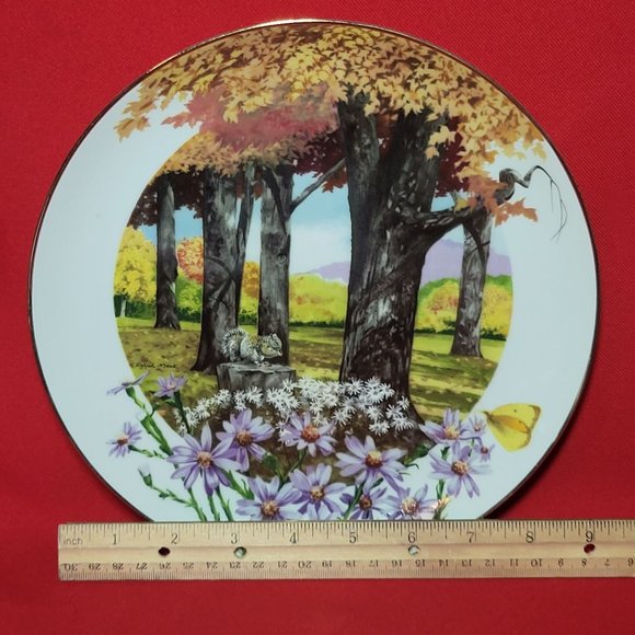 VTG Decorative Plate Royal Windsor Frost Aster Wildflowers of the South - Picture 7 of 12
